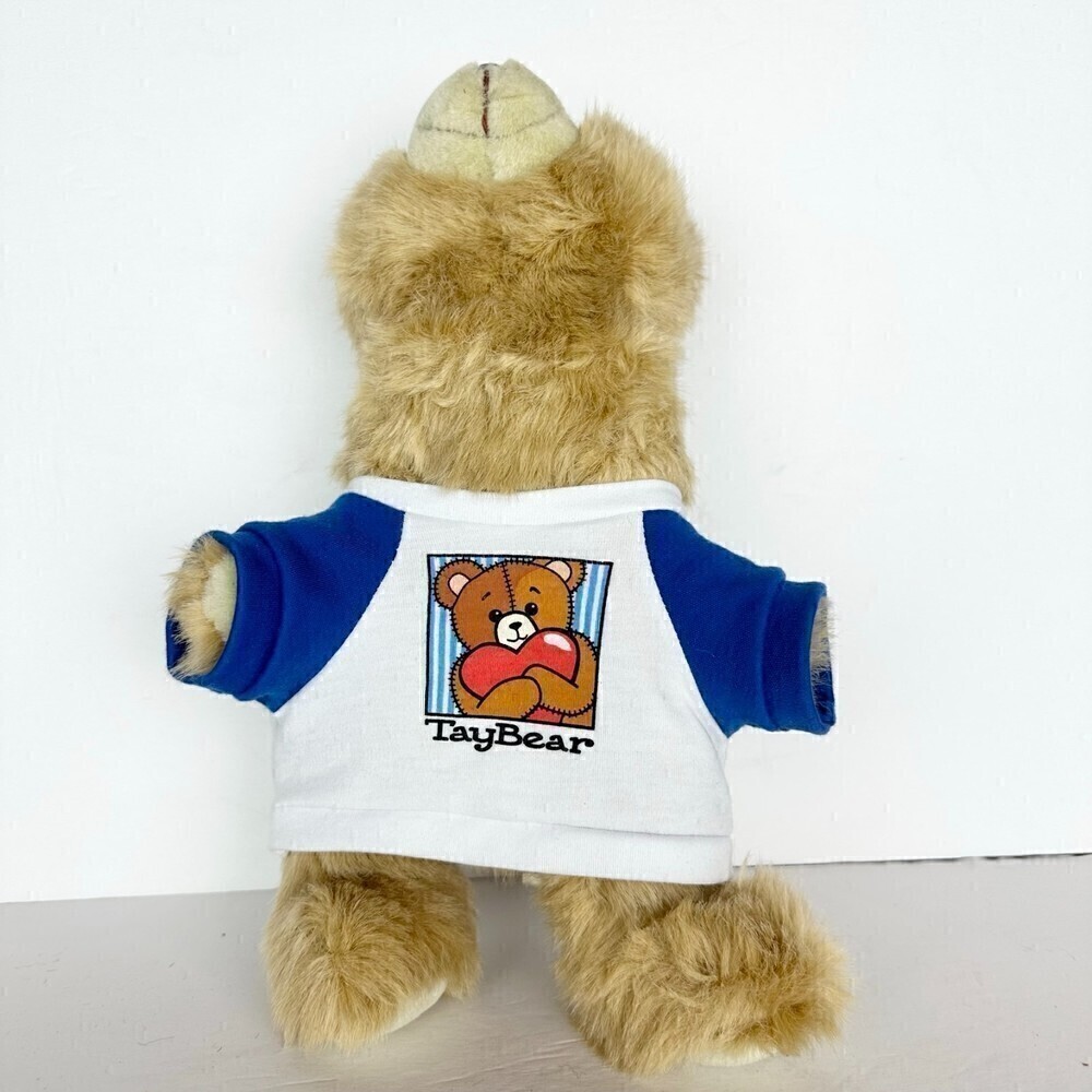 TayBear by Build A Bear Hug A Bear Rare HTF Cancer Support Plush LE 12"